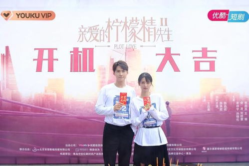 物价贬值下的商业风云与情感纠葛，美女总裁跪求复合（95集剧情剖析）