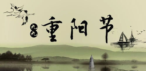 寻她灯火阑珊处（一），一场不期而遇的寻觅之旅（61集）