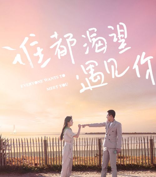 命中注定遇见你（96集）剧情解析及感悟