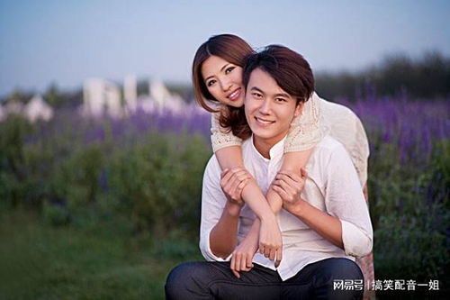 真假爱人（电视剧版），深度剖析爱情的真相与迷雾（共100集）