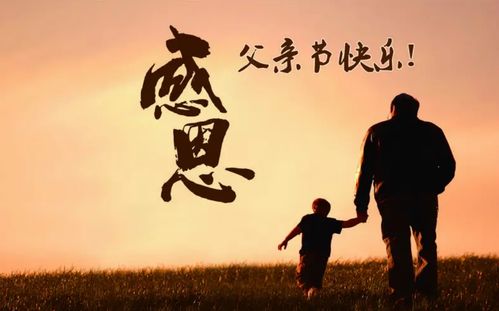 父爱无声（88集）