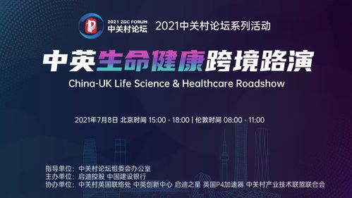 新仙医金婿，深度解读与多维视角（第93集）