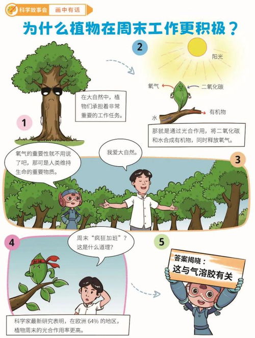 闪婚植物人老公（100集）故事概述
