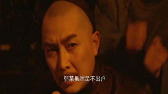 极品太子爷，权力与魅力的交织