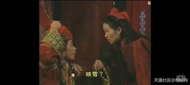 九天不良传（第81集），杨泽琳的传奇之旅