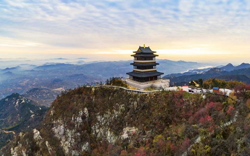回到古代不开挂干啥（100集）