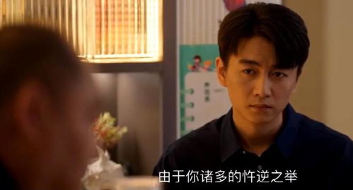 罪妻出狱后，沈总下跪求复合（103集）