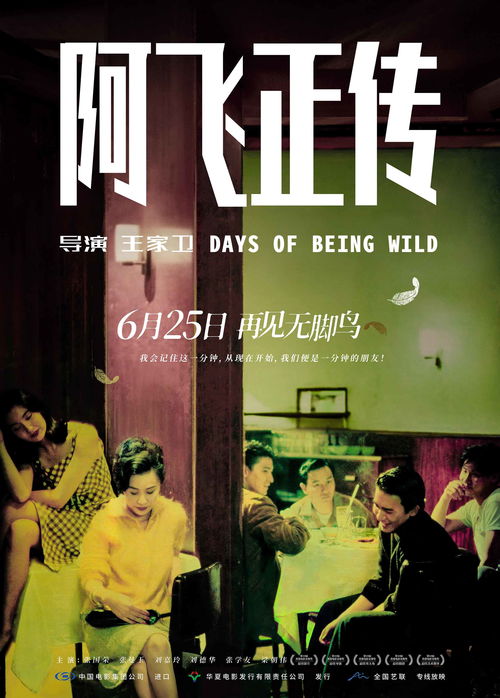 倒贴上门妻（集萃版），错综复杂的情感纠葛与人生百态（113集深度解析）