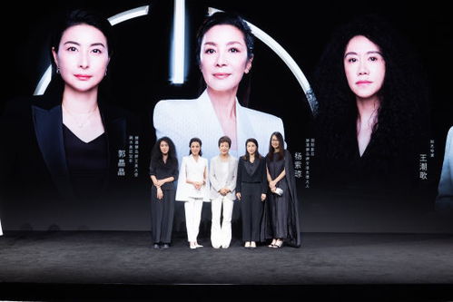 总裁夫人，身兼多职的非凡女性（18集系列）