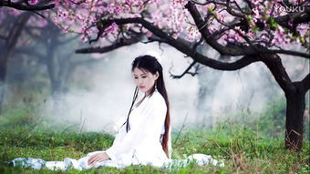 欲火繁花（83集），情感与命运的交织