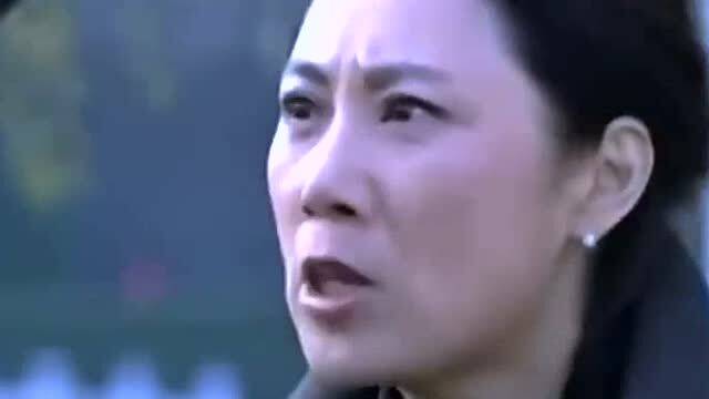 重生从被女儿赶出家门开始（80集）