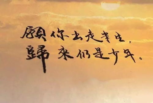 叶少归来（80集），命运交织的归途与重生