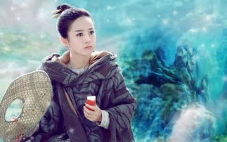 双面王妃（97集），许若彤的传奇人生