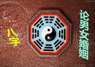 天道神算，命运之轮下的智慧与决断（98集）