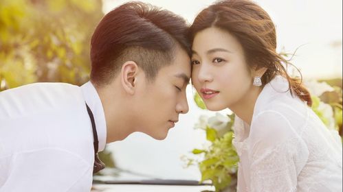 新婚旧爱慕少求离婚（74集），爱情与生活的碰撞