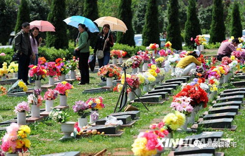 清明祭扫四大误区，如何正确缅怀先人