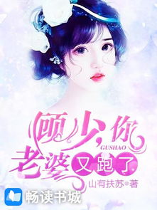 顾少夫人她不要你了（95集）
