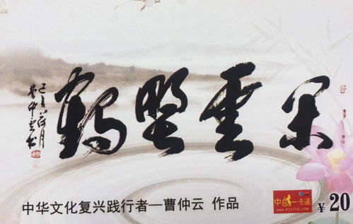 乡村神医，医术传承与人性光辉的80集壮丽篇章