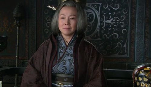 史上最强皇帝，一位传奇统治者的崛起（73集）