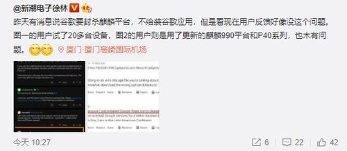 别装了，顾千金在线打假，揭开虚假的面纱（87集深度剖析）