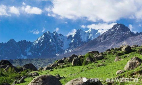 云深见溪之美——探寻云深见溪（85集）的魅力之旅