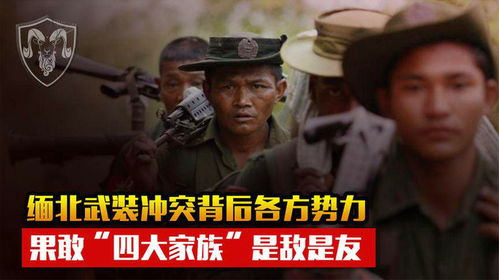 缅北反诈江湖情（86集）