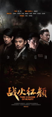 至尊红颜壮志凌云，一部展现女性力量与雄心壮志的史诗巨作（80集深度解析）