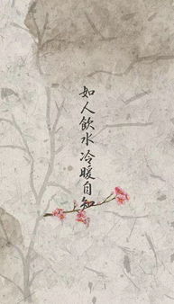 故人不相识（80集）之命运交织的陌生人