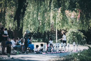 男子拜山偶遇蛇皮满地——深山中的奇遇与生态启示