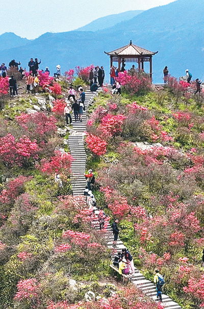 踏春赏花享胜景，文旅融合热力足