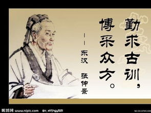 九龙圣医，医术与传奇的交融