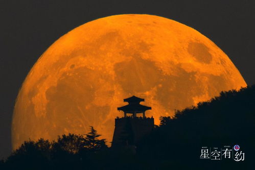 明月何时照我还（87集），归途中的期盼与感悟