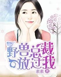 总裁老公放过我