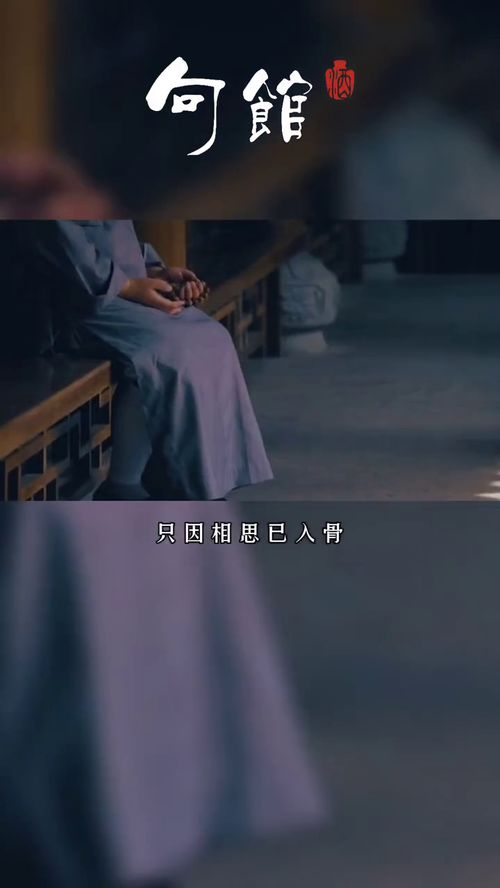 莫说相思已入骨（88集）