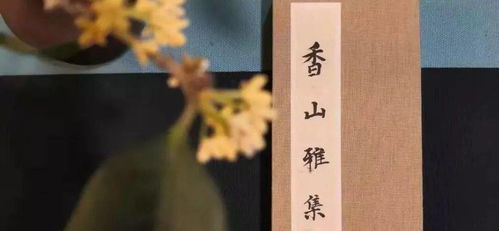 寒舟未晚（92集）