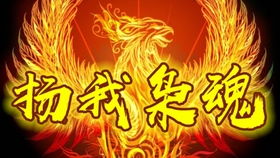 天龙枭婿