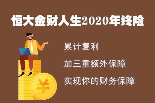 我爸有亿点点富（80集）之财富人生