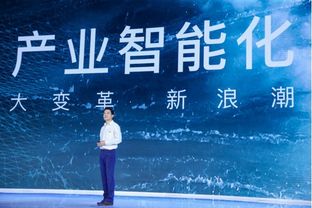 探索全集，深度解读与多维视角