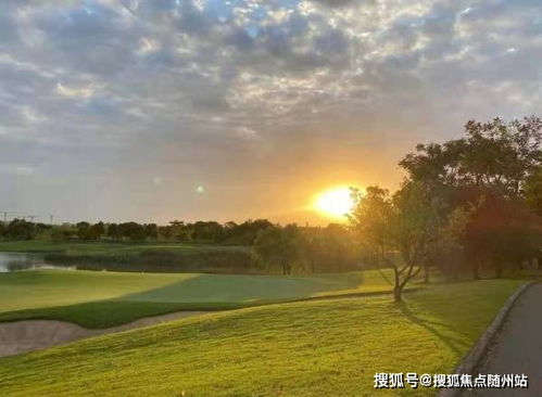 真千金她不好惹，99集深度解析与感悟