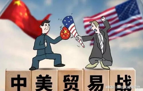 全球高度关注，中国反制美国关税的举措与影响