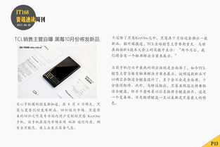 周总每天都想官宣（100集）