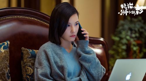 女总裁的统帅老公