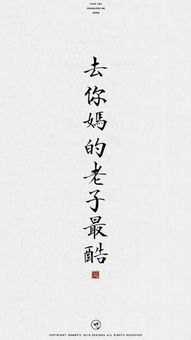 傅先生，余生好自为之（100集）