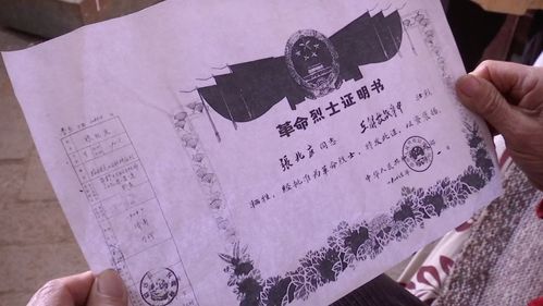 时总，夫人又忘记你们领证啦（83集连载故事）