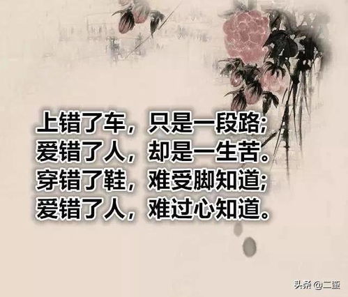 半程风雨一心人（第105集）——杨珞仟的成长与坚韧
