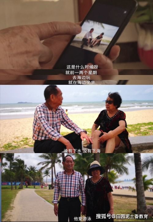 贺总夫人喊你别演了（82集），揭秘背后的故事