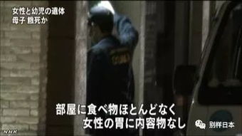 逆子（28集），家庭纷争与人性的挣扎