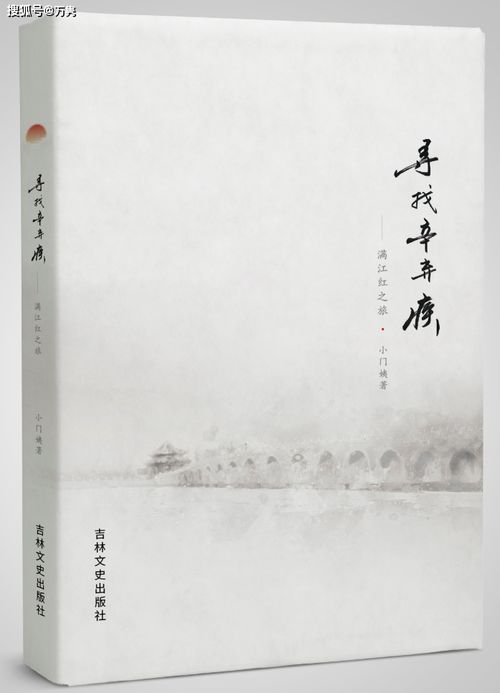 难寻之旅，全28集深度解析