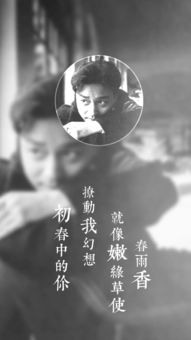相爱已成往事（44集）
