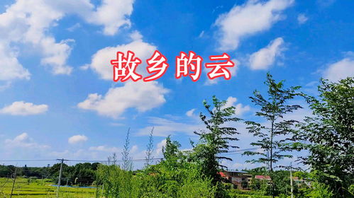 故乡的云（58集）